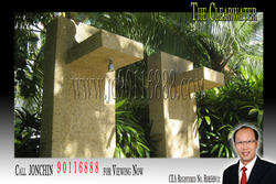 The Clearwater (D16), Condominium #79126522